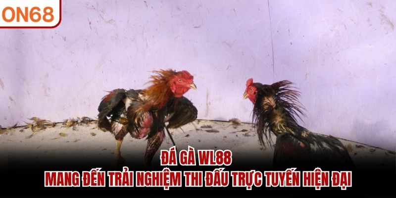 Đá gà WL88 mang đến trải nghiệm thi đấu trực tuyến hiện đại đá gà wl88