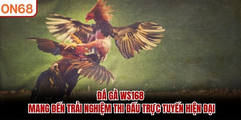 đá gà ws168