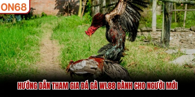 Hướng dẫn tham gia đá gà WL88 dành cho người mới đá gà wl88