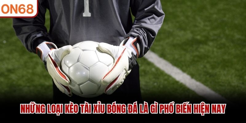 Những loại kèo tài xỉu bóng đá là gì phổ biến hiện nay Tài Xỉu Bóng Đá Là Gì