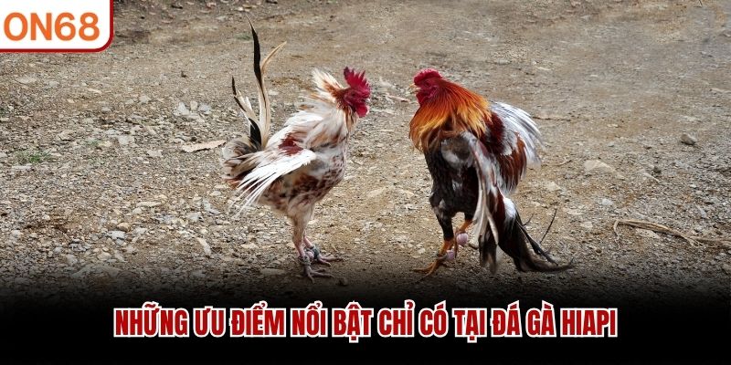 Những ưu điểm nổi bật chỉ có tại đá gà HiAPI đá gà hiapi